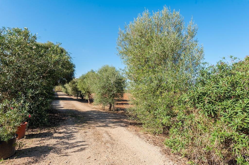 Son Xorc Villa Campos  Exterior photo